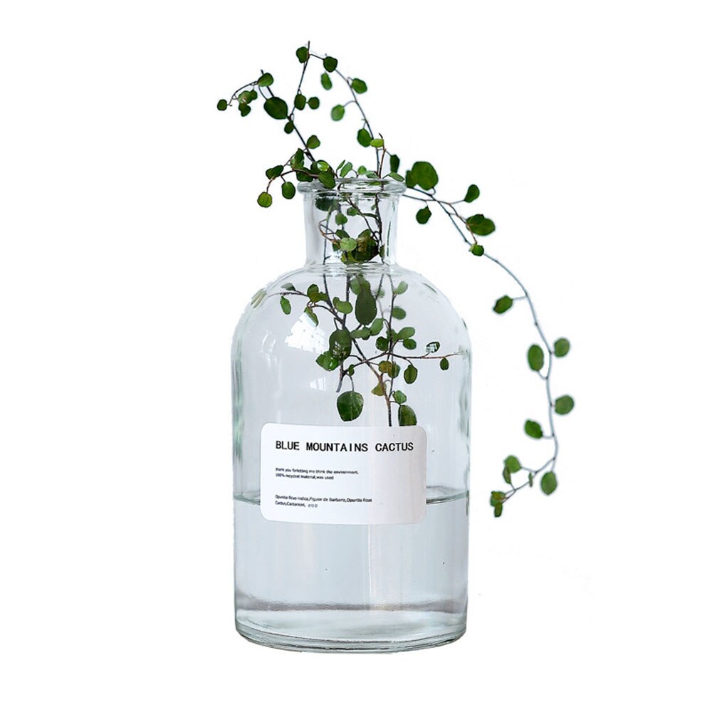Minimalist Chic Glass Storage Jars Scandinavian Vogue Elegance Transparent Desk Storage Bottle Organizer Flower Container Decor