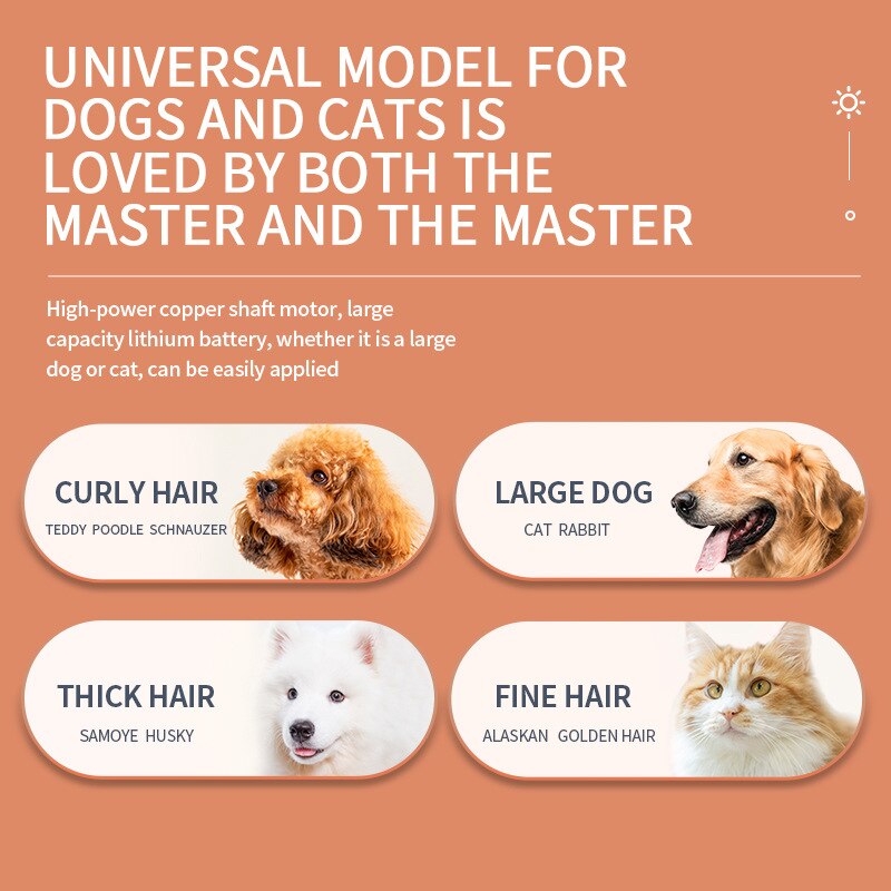 Rasoir électrique pour animaux de compagnie, Kit de toilettage pour chiens et chats