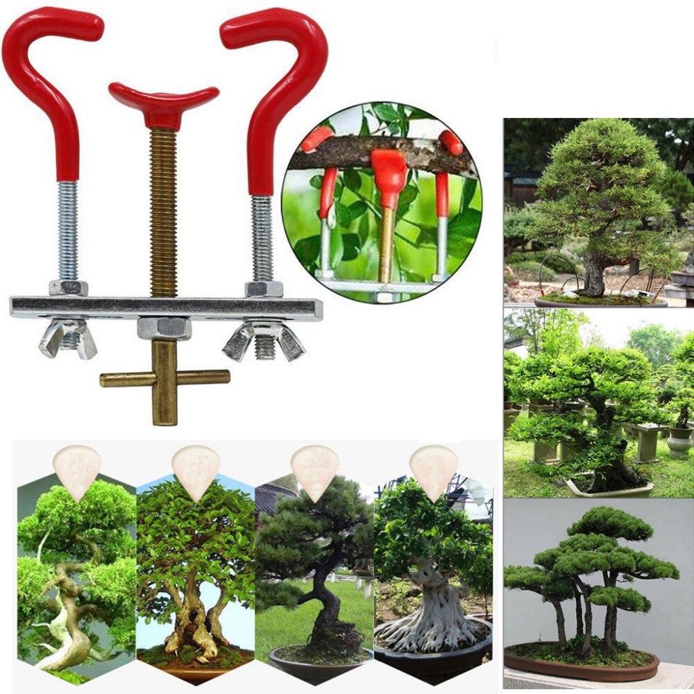 Professionale attrezzi da giardino bonsai ramo di  – Grandado