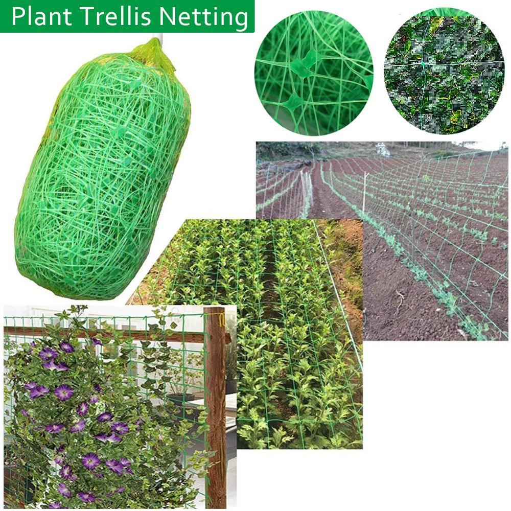 Malla de enrejado de plantas, Red de guisante ting, Red de jardín verde, malla de enrejado para frijoles, frutas, verduras, plantas trepadoras