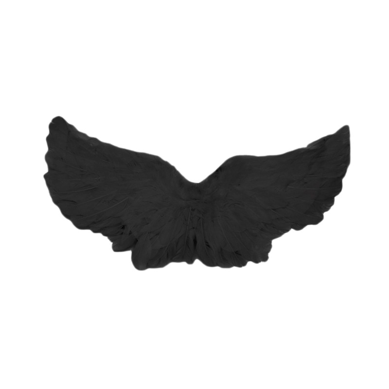 Pet Dog Cat Angel Devil Bat Wing Cosplay Prop Halloween Bat Fancy Dress Costume Outfit Wings Cat Costumes Photo Props: black