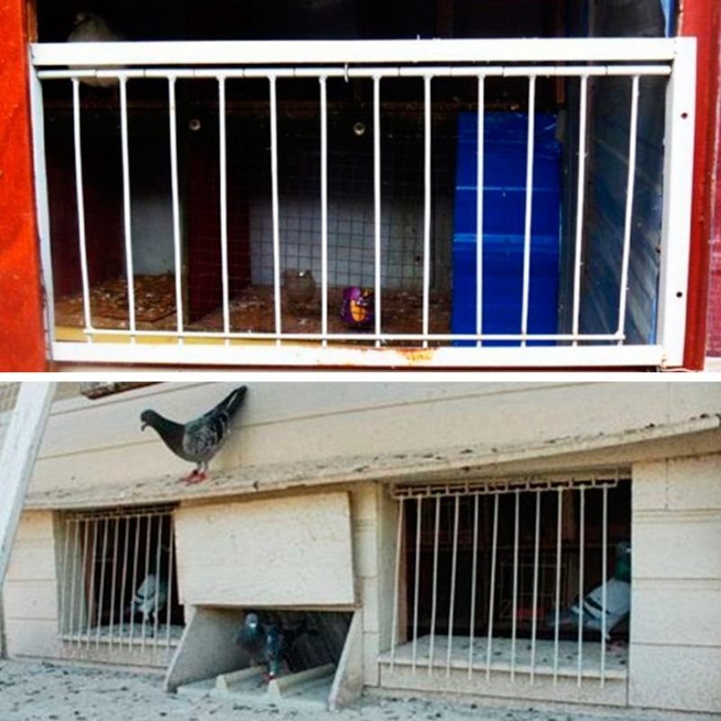 Pigeon Door Wire Bars Frame Entrance Trapping Doors Loft Supplies Racing Bird Cages & Nests Products Birds Catch Bar