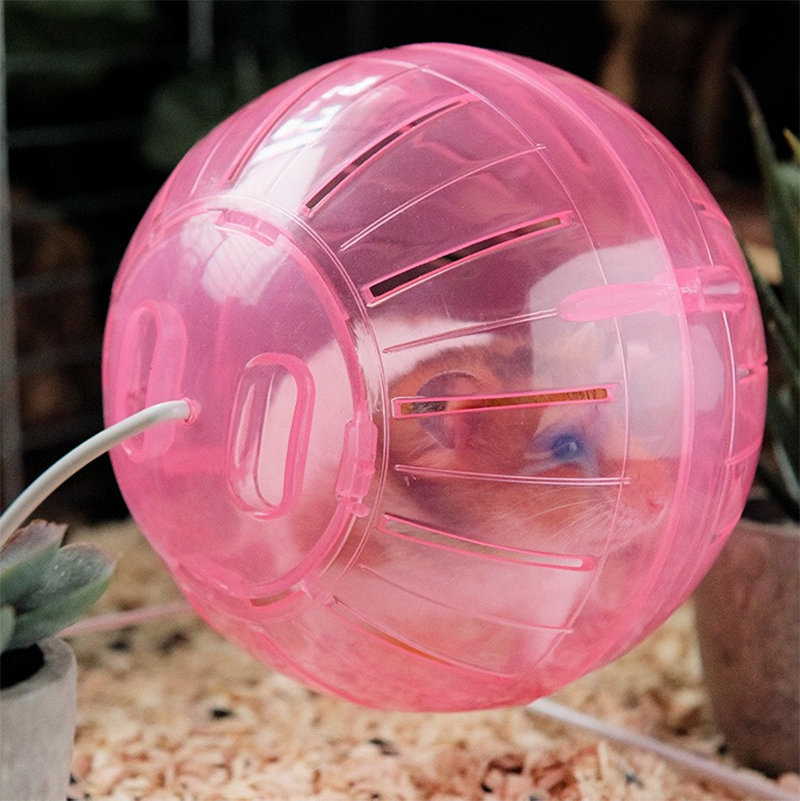 Stille Hamster Bal Met Stand, huisdier Speelgoed Oefening Ballen Voor Hamsters Knaagdieren Jogging Spelen Plastic Mini Bal Voor Kleine Dieren