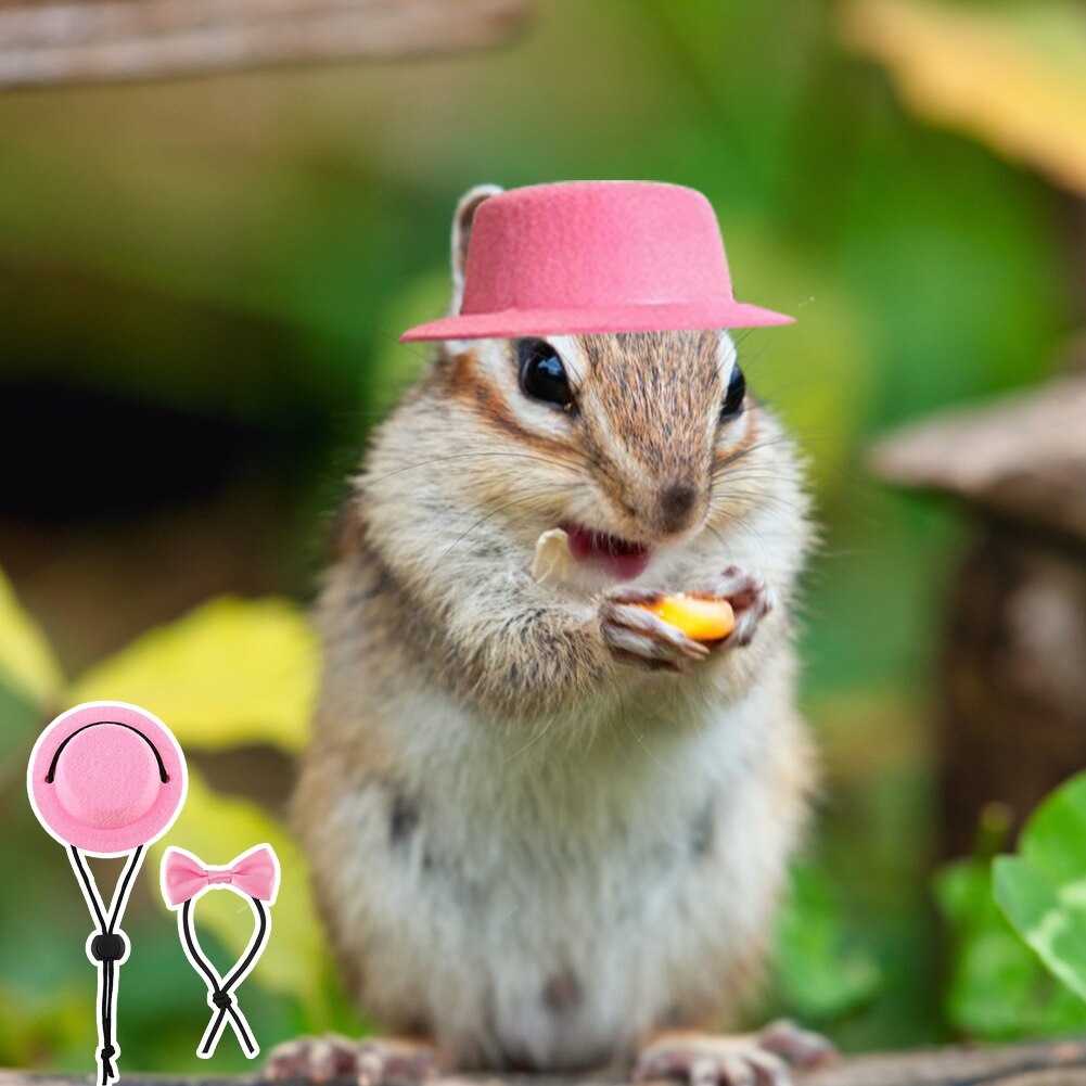 Small Animals Hats Rabbit Guinea Pig Hamster Totoro Hedgehog Hat and Bow Tie Top Hat Pet Festive Funny Cap Head Accessories