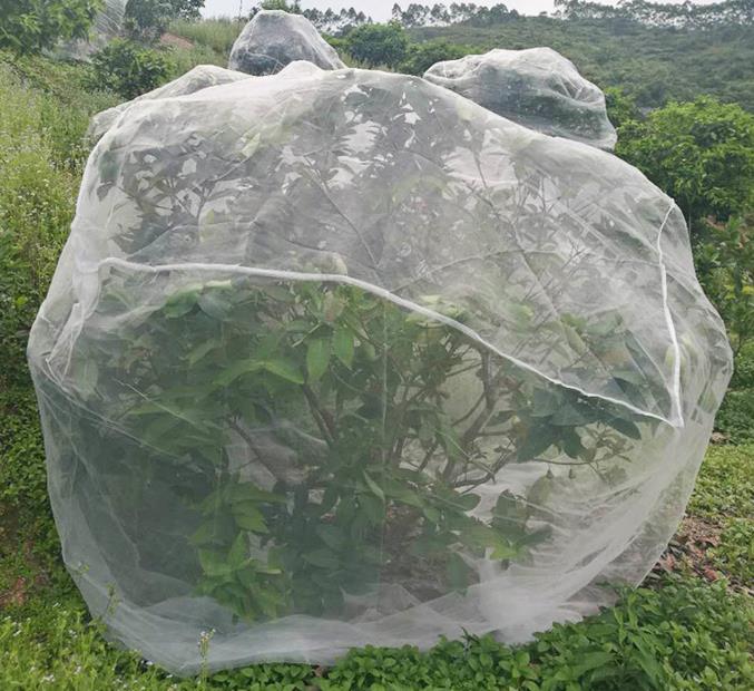 Plant protective cover Agriculture gardening Pest control net Fruit tree protection net Garden flowers Pest control net