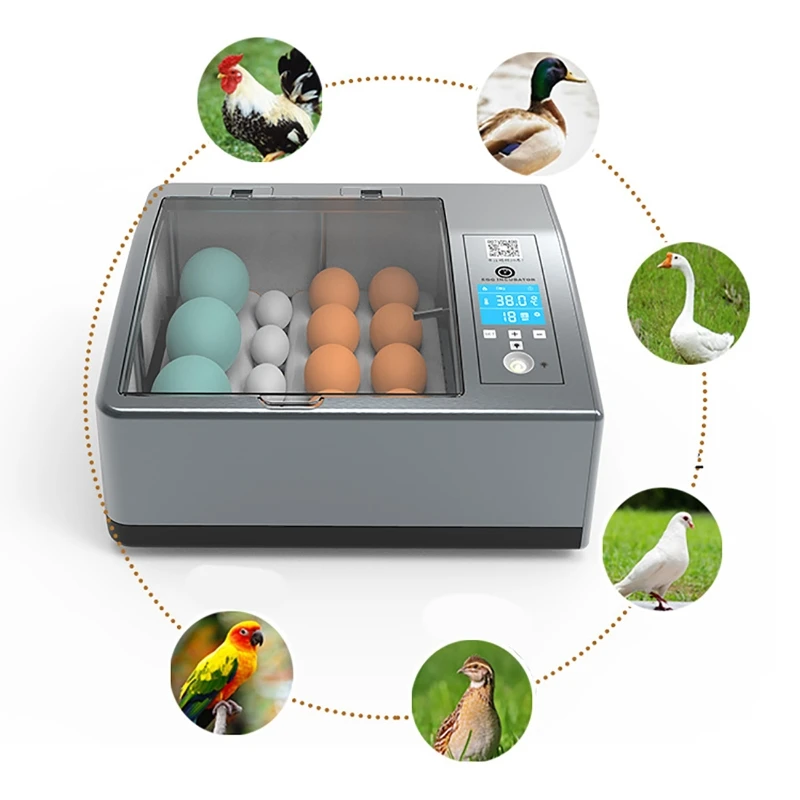 220V Eieren Incubator Broedmachine Automatische Boerderij Incubatie Gereedschap Vogel Kwartel Kuiken Broederij Gevogelte Hatcher Turner 6-16 Ei Incubator