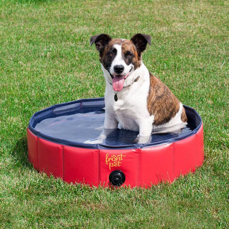 Husdjur pool pvc hopfällbar katt hund bad pool bärbar hund dusch pool utomhus inomhus badkar simhus för yorkshire terrier