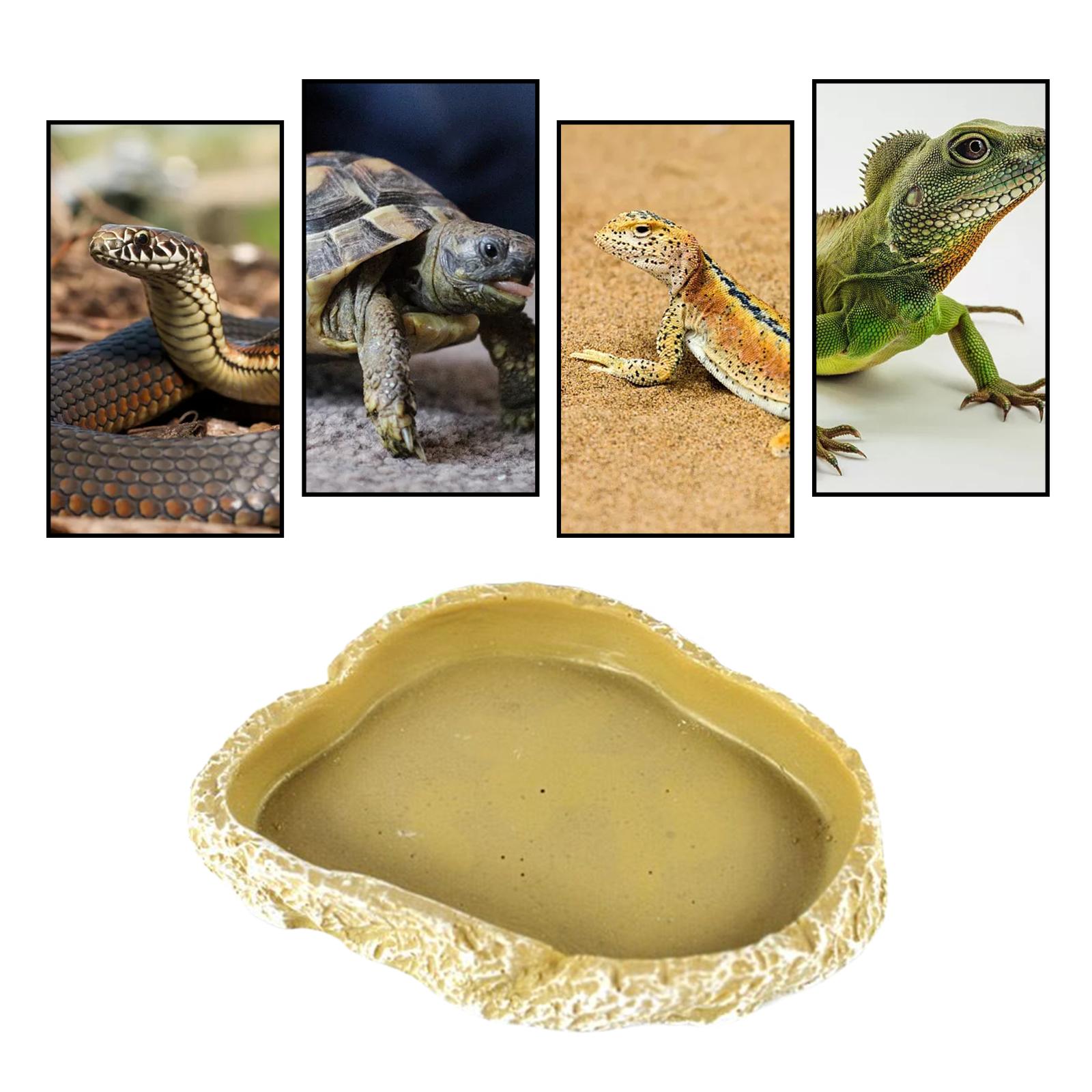 4er-Set Blatt-förmige Futter- & Wassernäpfe Für Reptilien – 2 Größen (12cm & 15.4cm) – Für Schildkröten, Schlangen, Eidechsen
