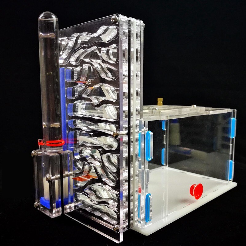Mini Ant Nest Granja de Hormigas nid fourmis Acryl Ant Farm Insect Cages