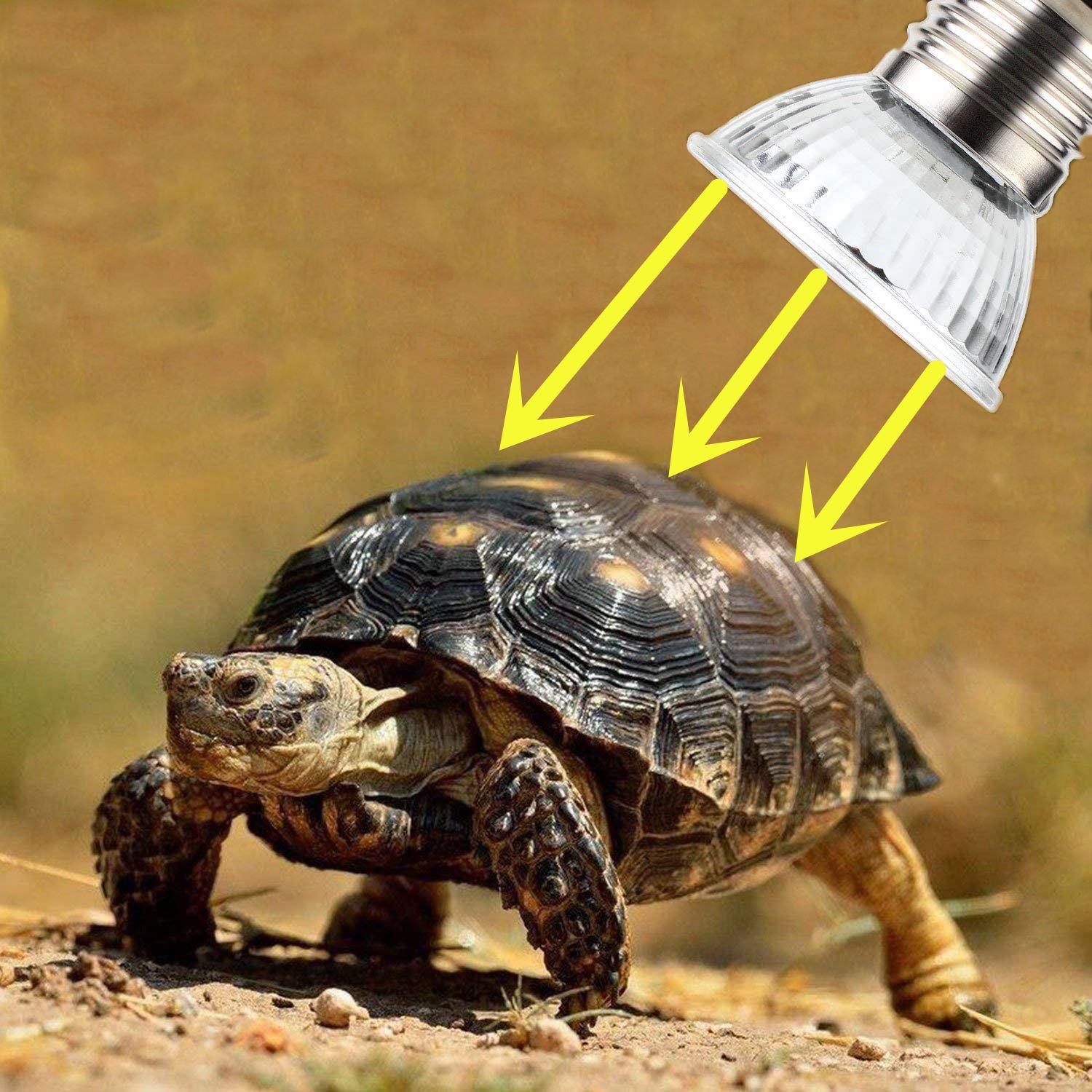 Reptile UVB Lamp Bulb Ballast Pet Lamps Metal Halide Health Care Lamp For Reptiles Lizard Snake Tortoise