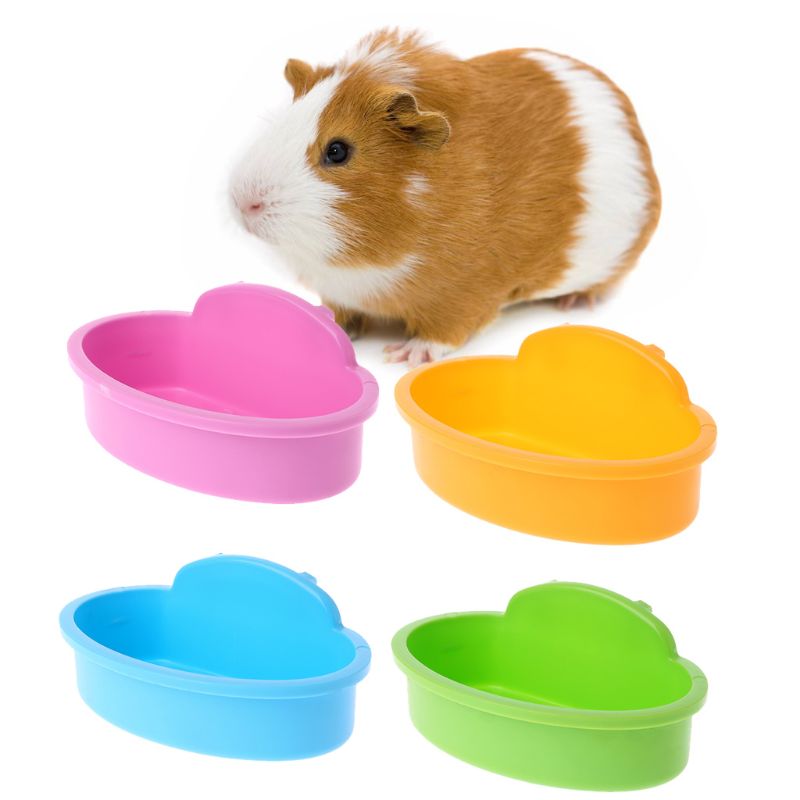 Vogel hamster kom klein huisdier kooi hangend drinken voedsel voederbak voederbak badgereedschap