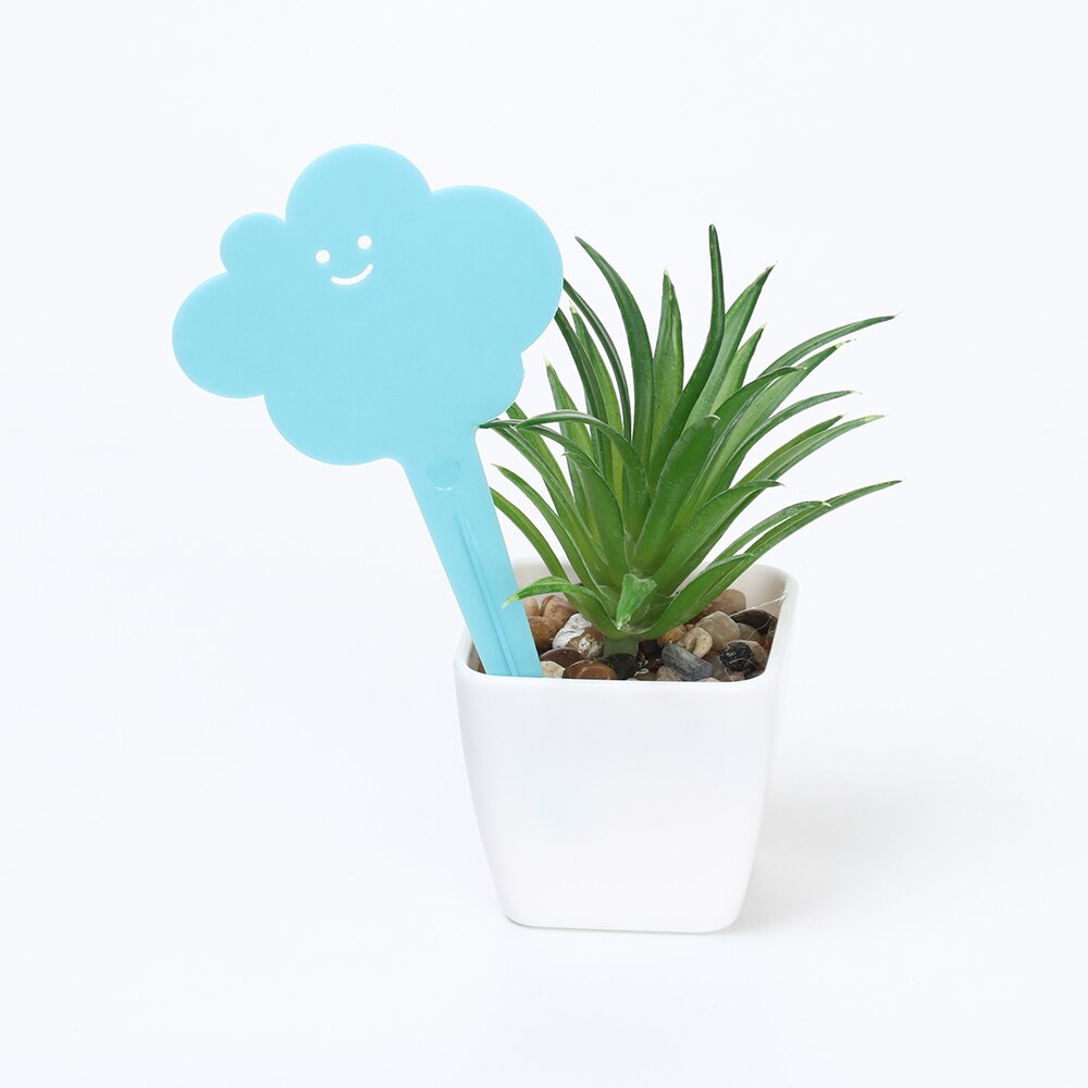 20/50 stk blomst stjerne hjerte form plante etiket planteskole potter planter blomst plante frøplante etiket markør planteskole plante tag have