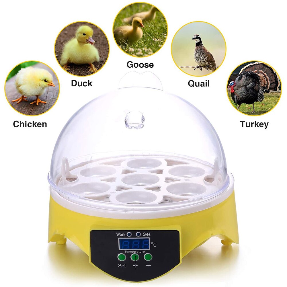 7 huevos de pollo incubadora para aves huevos Rack bandeja para incubar máquina automática de Control de temperatura inteligente de incubación Brooder