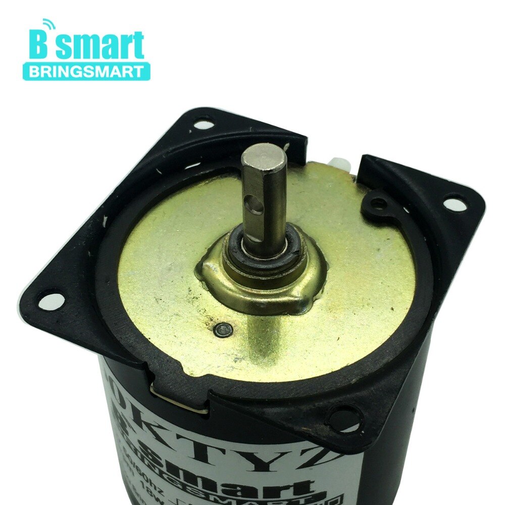 Bringsmart 110v 220v synkron växelströmsmotor mini elmotor reducerare låghastighets metallväxelmotor för grill