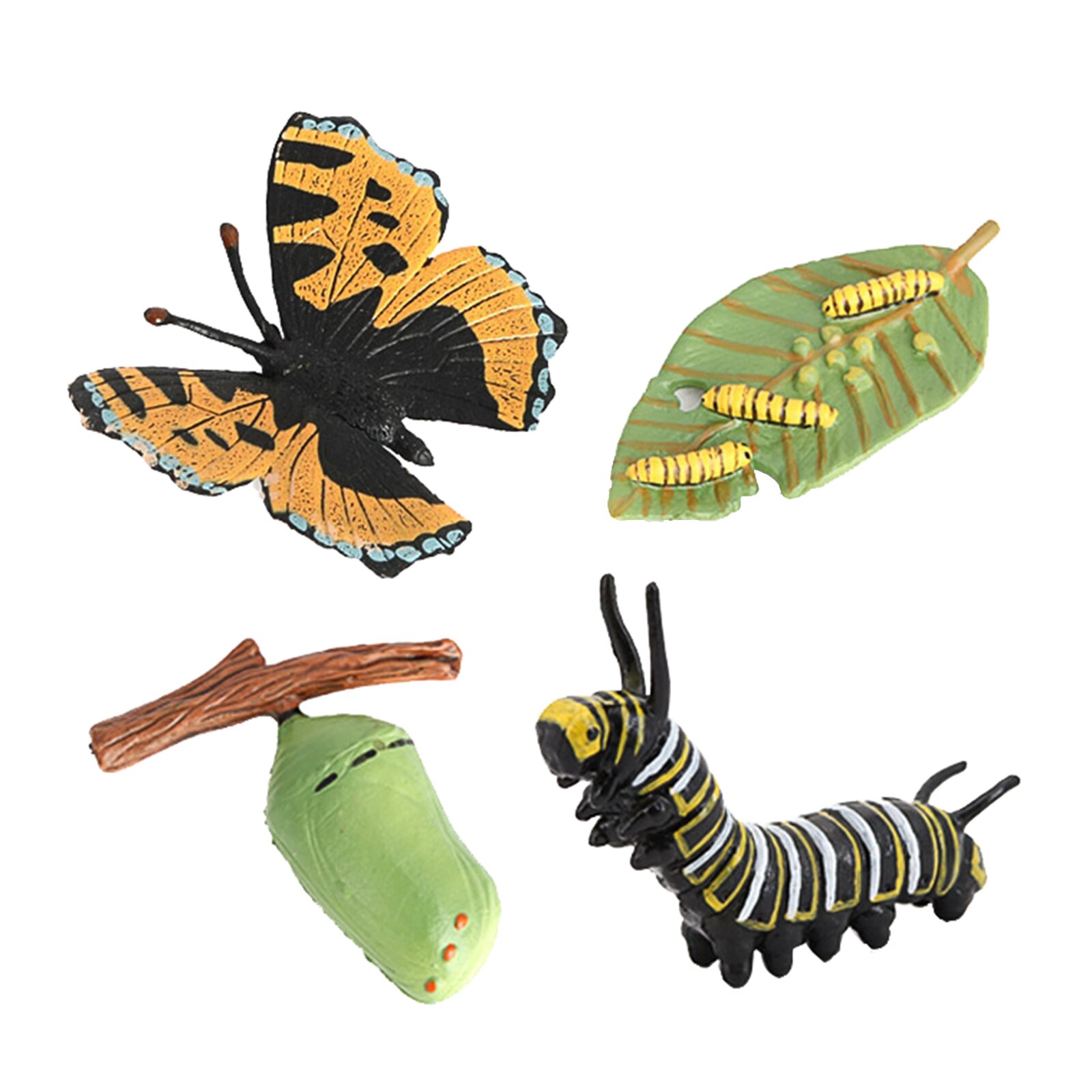 4 Piece Life Cycle Figures, Insects Plastic Butterfly Toy Figure - Authentic Hand Painted Model