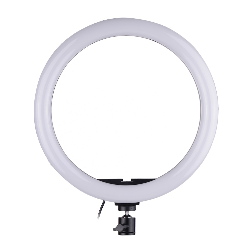 Ru Cz Voorraad Led Video Ring Licht Fill-In Lamp 24W Dimbare 2700-5500K Kleurtemperatuur met Smartphone Houder 2 Stuks Bal Koppen