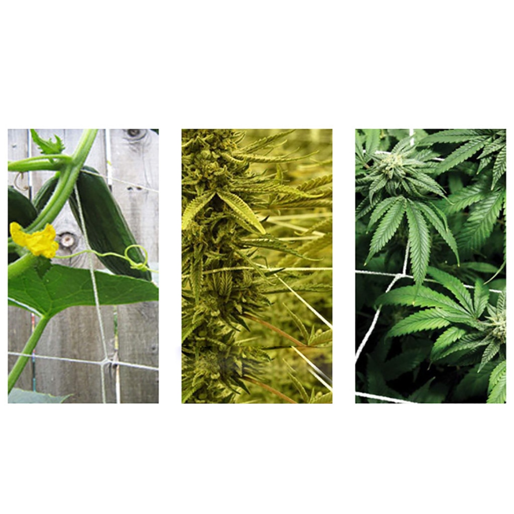 1pc Garden Plants Climbing Net Plastic & Nylon Net Morning Glory Flower Vine Netting Support Grow Net Holder Garden Netting #38