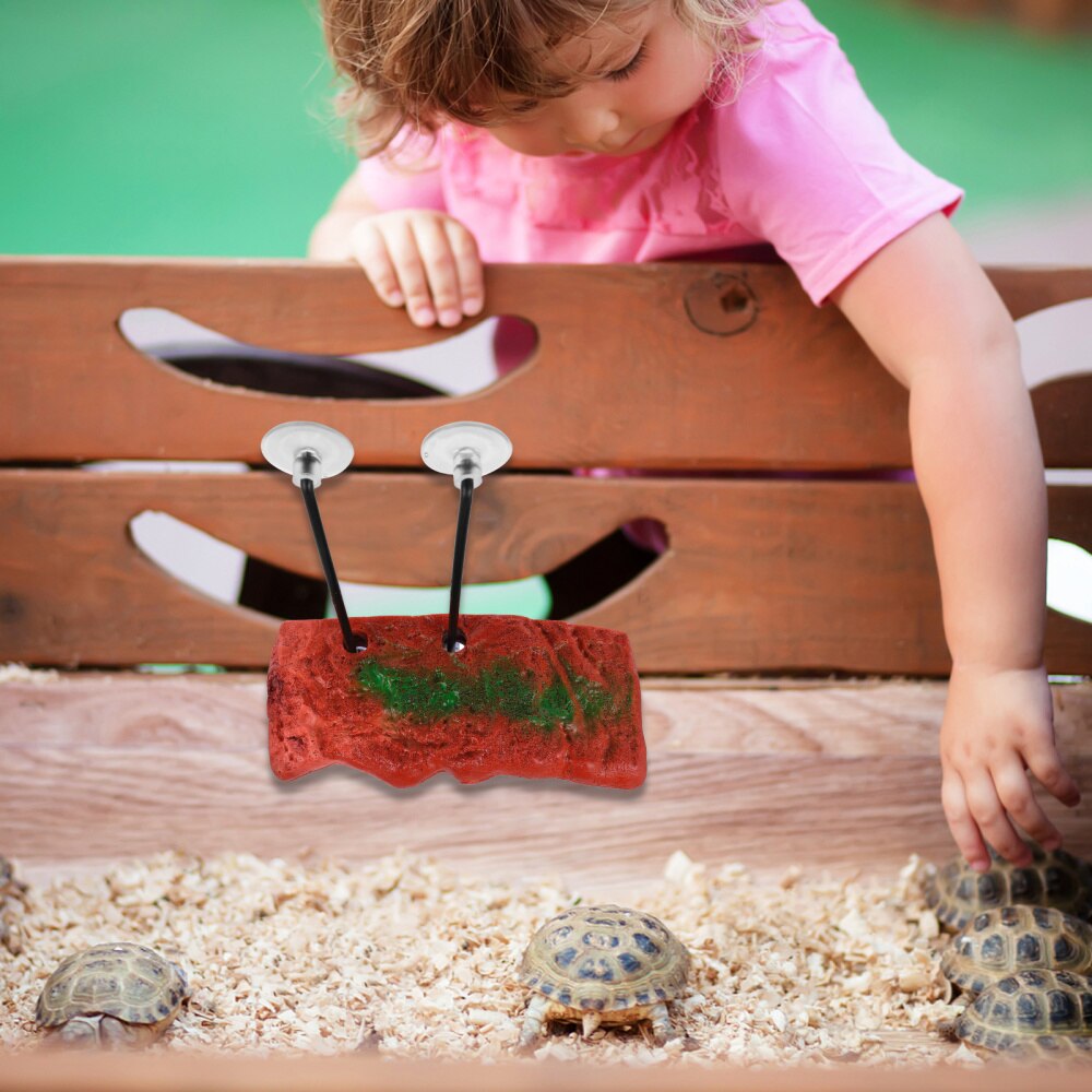 Turtle Bask Terrace Platform Aquarium Floating Dock Climb Resting Platform