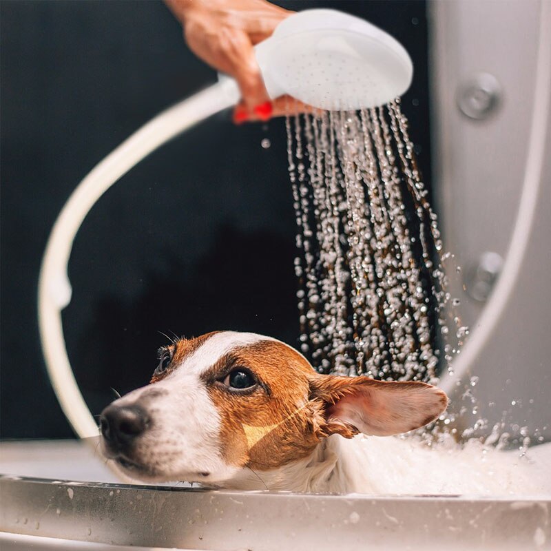 Hond Douchekop shampoo voor katten Multifunctionele Tap Spray Heads Wc Sproeiers Drains Zeef Water professionele baden Tool