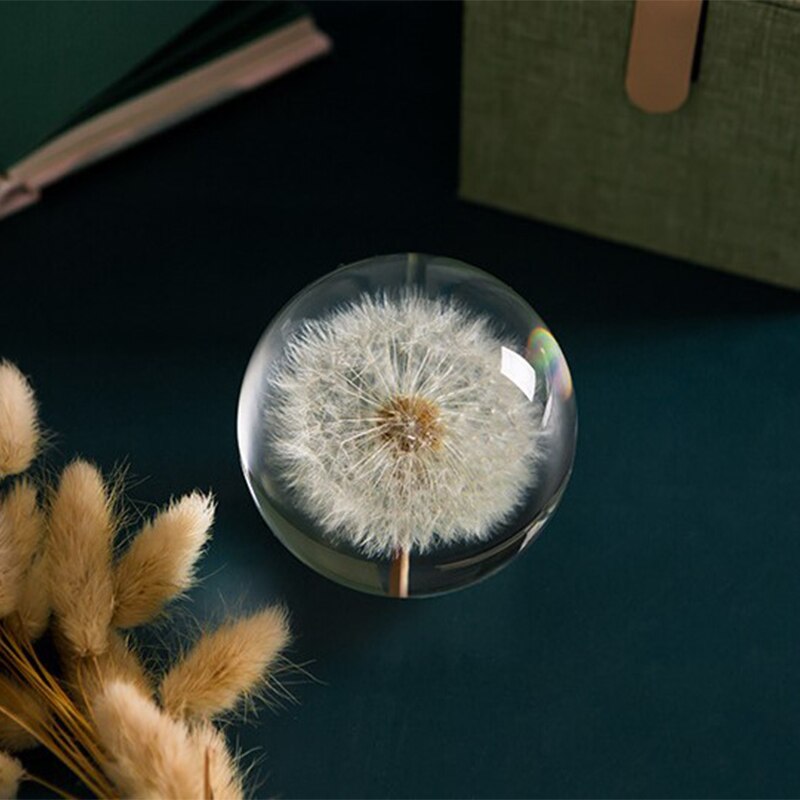 70/80/90mm klar kristallkula äkta maskros kristallglas harts lins boll hem dekorativa boll fotografering rekvisita födelsedag: 7cm diameter / Utan låda