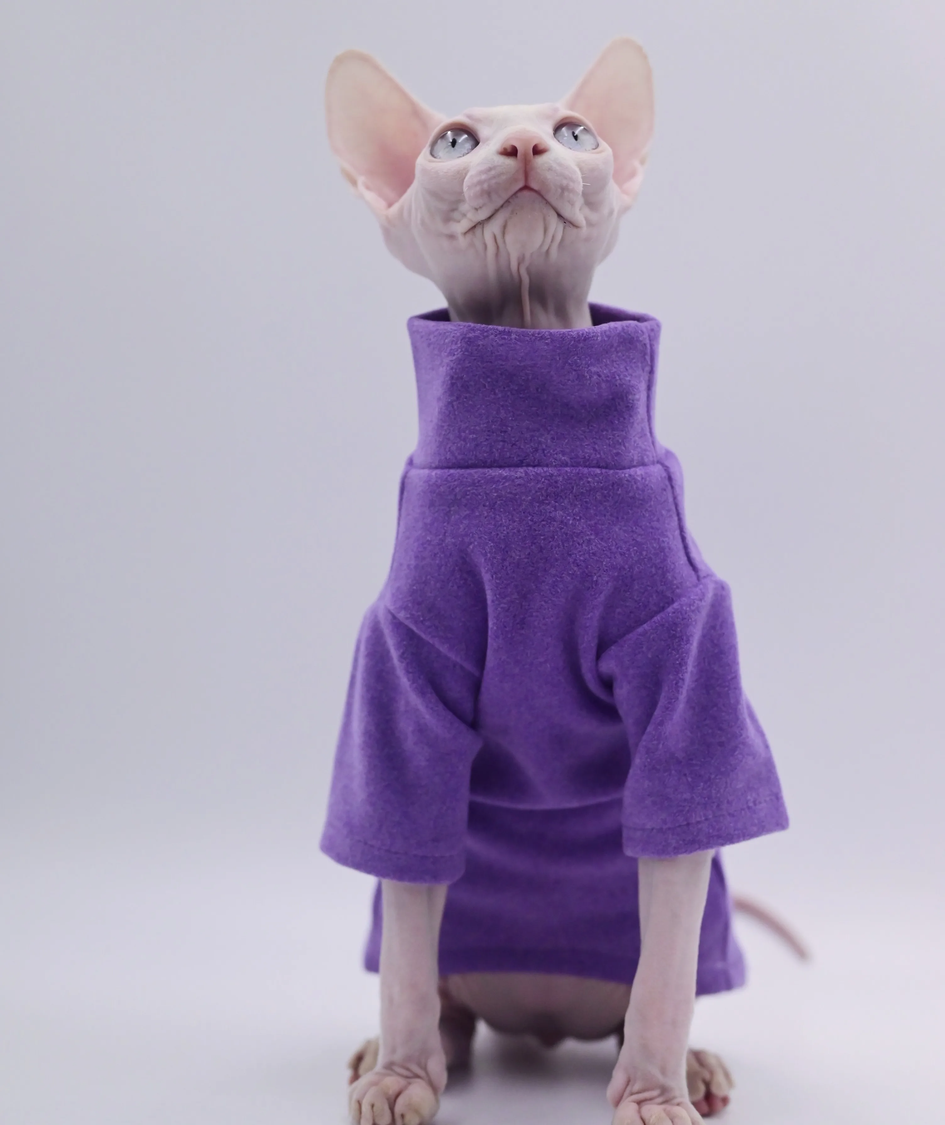 Ropa para gatos sin pelo de algodón suave, ropa para gatos Sphynx, ropa para gatitos para Cornish, Devon, Yorkshire, KnnisCat, bebé: L / Morado