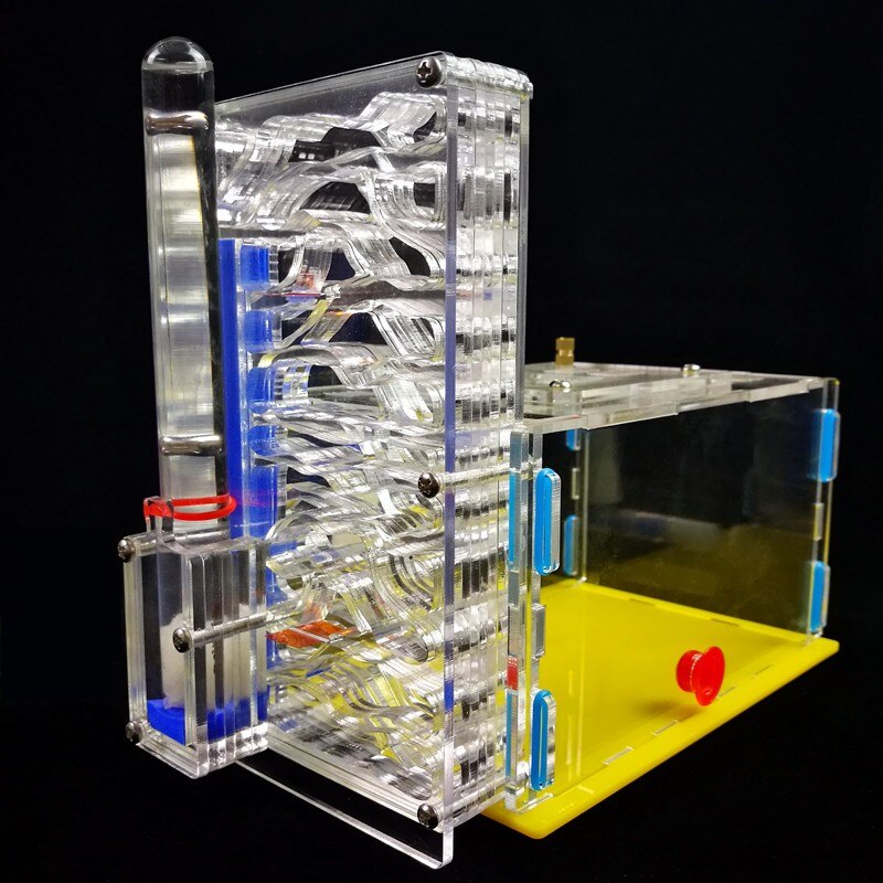 Mini Ant Nest Granja de Hormigas nid fourmis Acryl Ant Farm Insect Cages: transparent