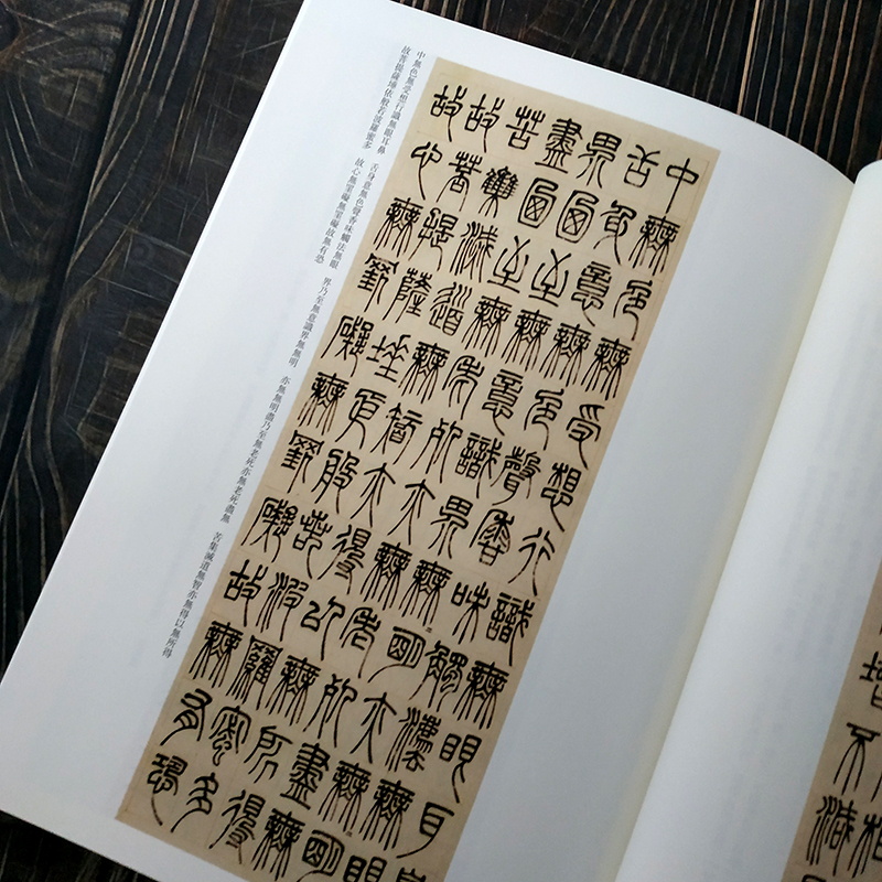 Deng Shiru Seal Script Kalligrafie Collectie Schrift Chinese Classics Inscriptie Oude Proza Kleur Vergroot Praktijk Boek