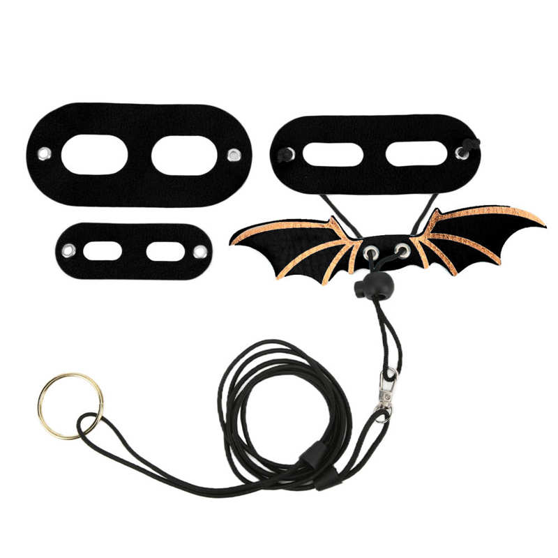 Laisse de lézard, spécial, harnais de Dragon barbu Durable pour petits animaux de compagnie pour Reptiles: black
