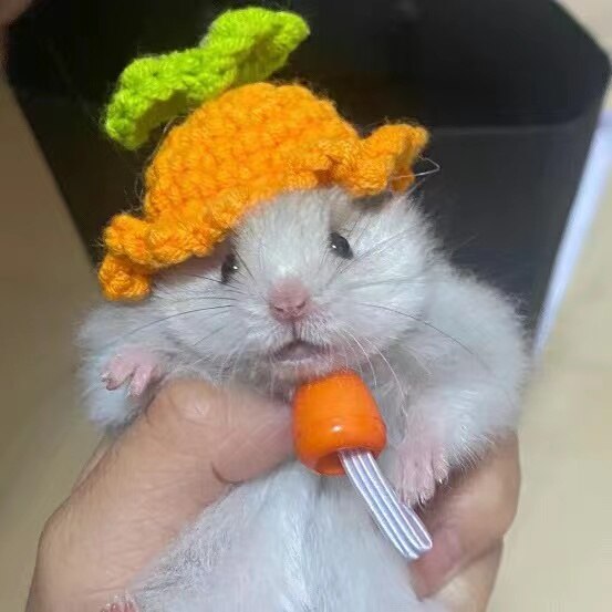 Hand Crocheted Hamster Hat Hamster Accessories Chipmunk Dwarf Rat Small Animal Hat Cute Hamster Clothes Hamster Supplies: 013