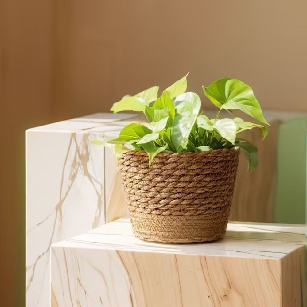 1 Stuks Mini/S/M/L Gras Geweven Bloempot Voor Tuinterrassen Kleine Plant Bloemenmand Zaailing Containers Planter Mand