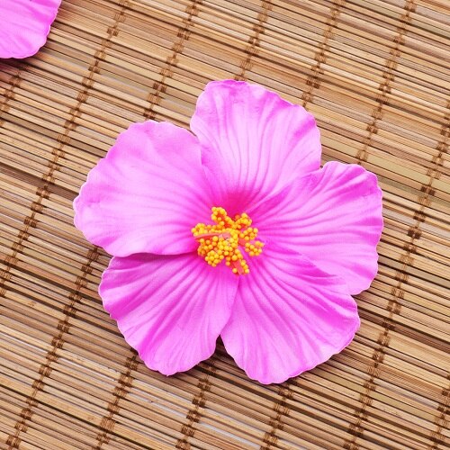 BIT.FLY 10PCS Hawaii party Hibiscus flowers Summer party DIY decorations Artificial PE hibiscus flower Hula girls headwear: Rose red