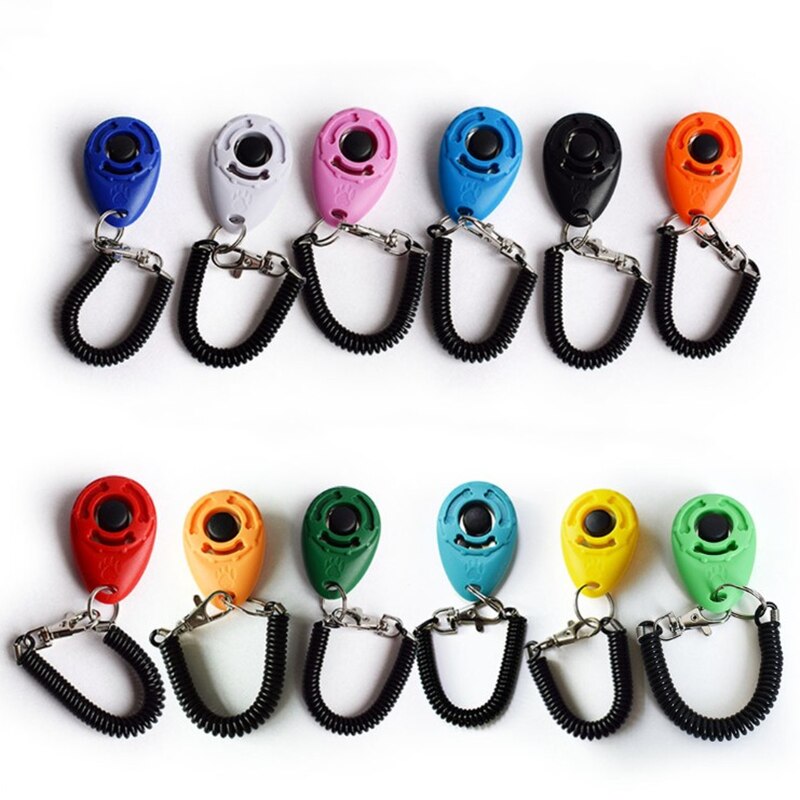 Haustier ausbildung Film katze und hund ausbildung kunststoff werkzeuge stehen-allein Trainer einstellbar Armbinde keychain Haustier Klang ausbildung