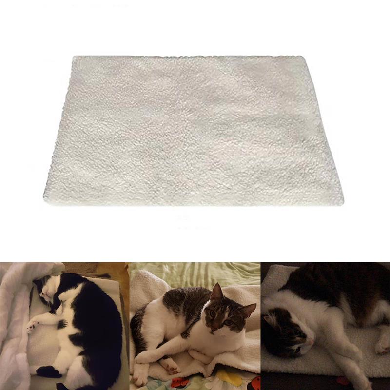Umwelt Freundliche Beheizte Katze Decke Hund Katze Korallen Kaschmir Prämie Selbst-Heizung Decke für Katzen und Hunde innovativ