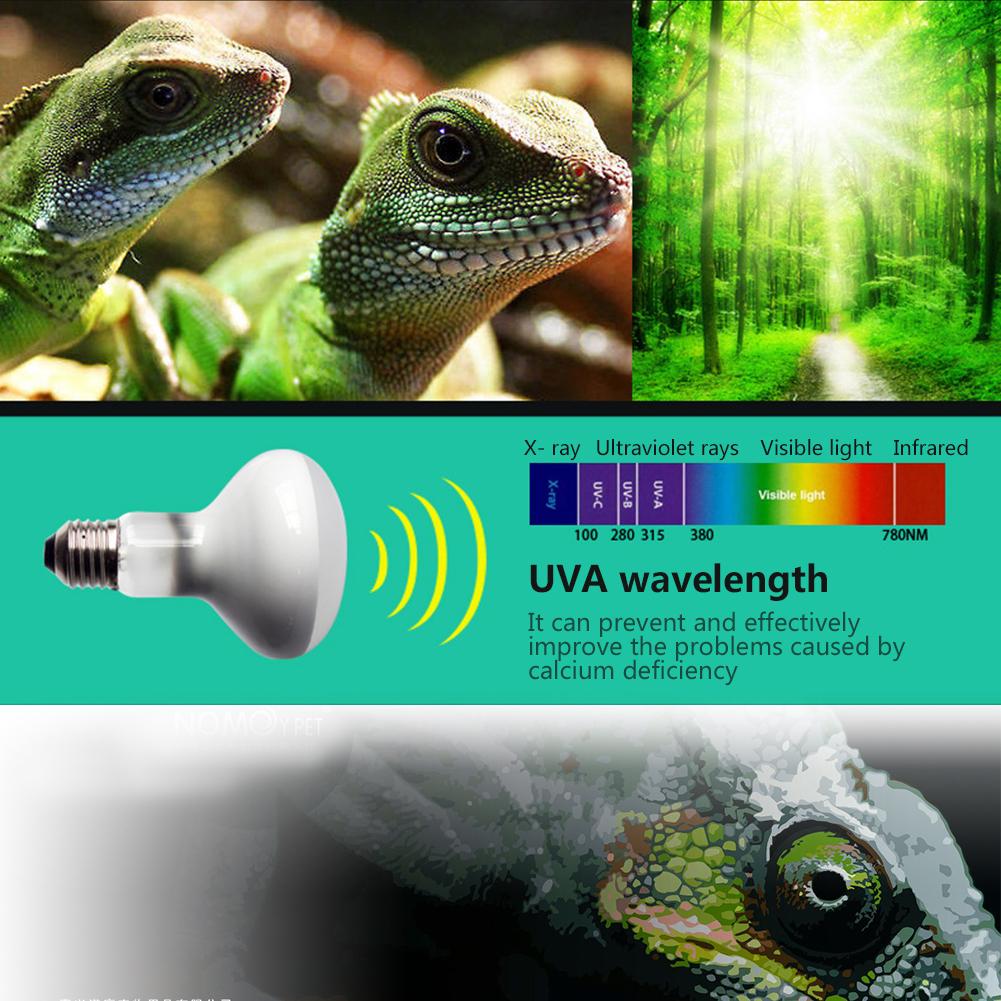 E27/E26 100W Verwarming Lamp Uva Led Licht Reptiel Infrarood Heater Schildpad Snake Lizard Huisdier Lamp Lamp AC220V