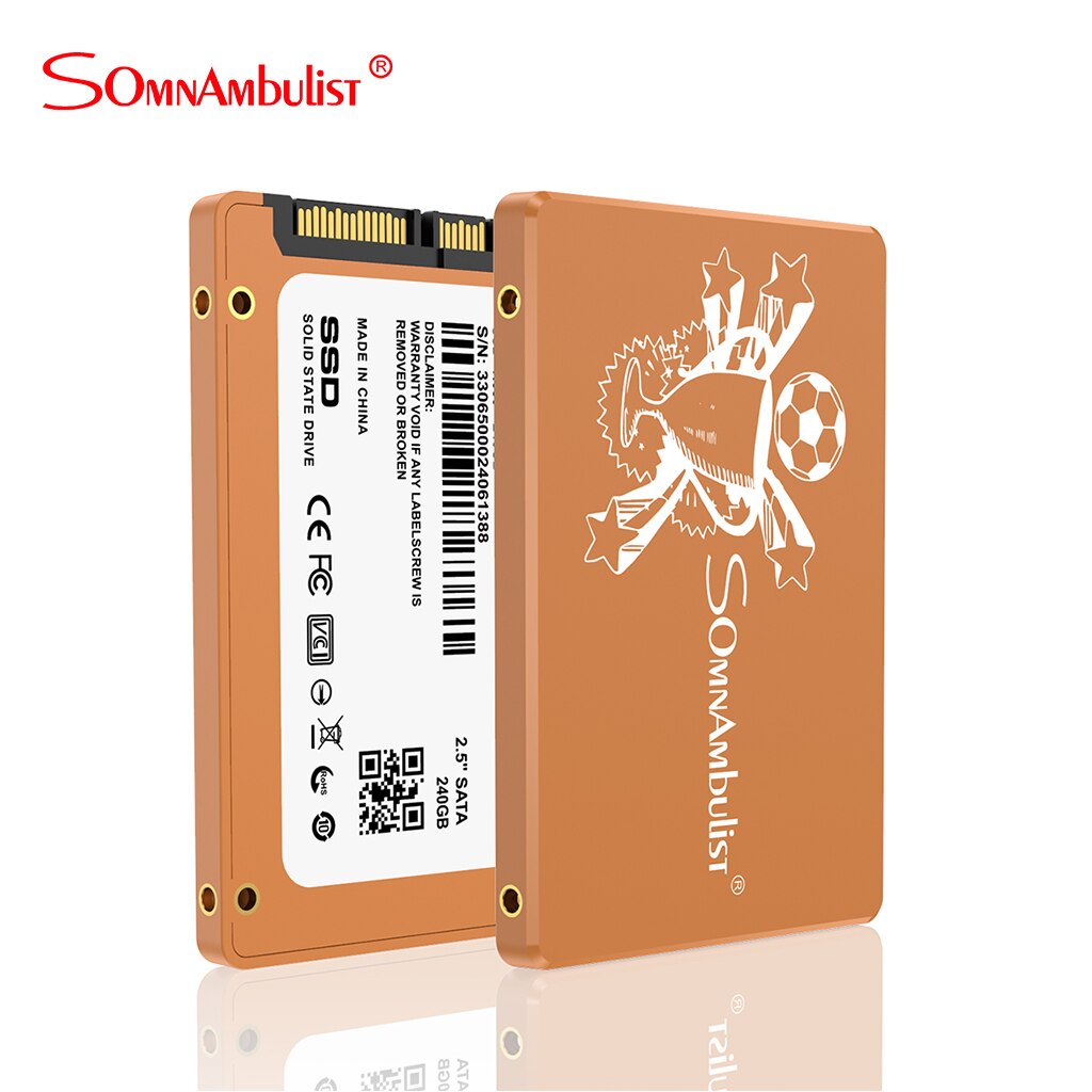 Brown (ssd) convient aux ordinateurs portables, disque dur à semi-conducteurs intégré de 120 go, 240 go, 480 go, 960 go, 2 to