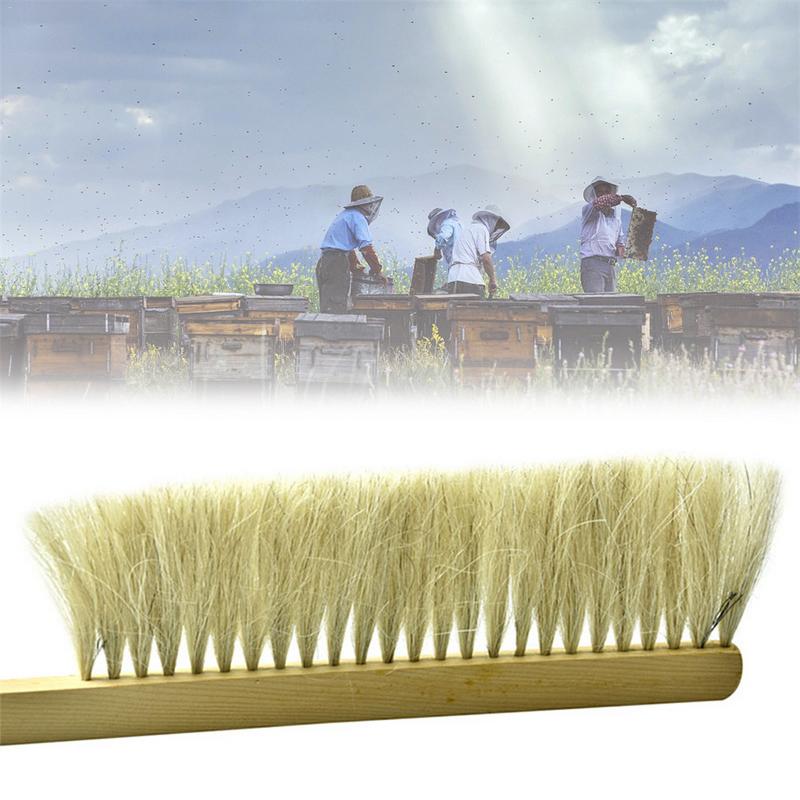 Herramientas de apicultura cepillo de barrido de avispa de madera dos filas de pelo de cola de caballo cepillo de abeja equipo de Apicultura