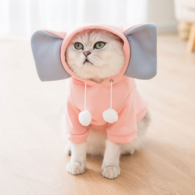 pet clothes cat clothes dog clothes autumn and winter cat and dog sweater cute transform pet clothes