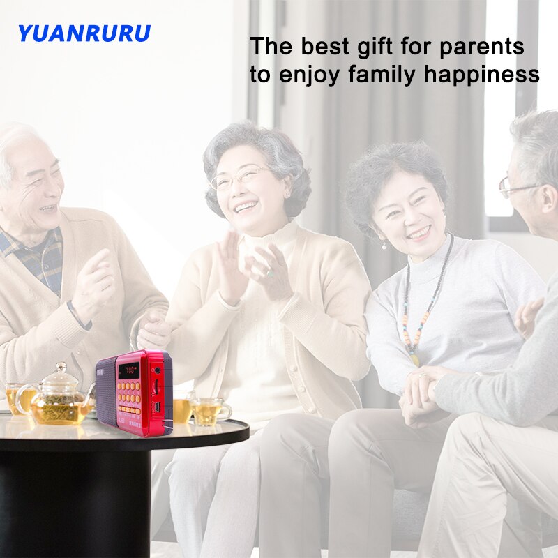 Mini Radio Portable Rechargeable, haut-parleur stéréo numérique, FM, USB, TF, lecteur MP3, pour les parents