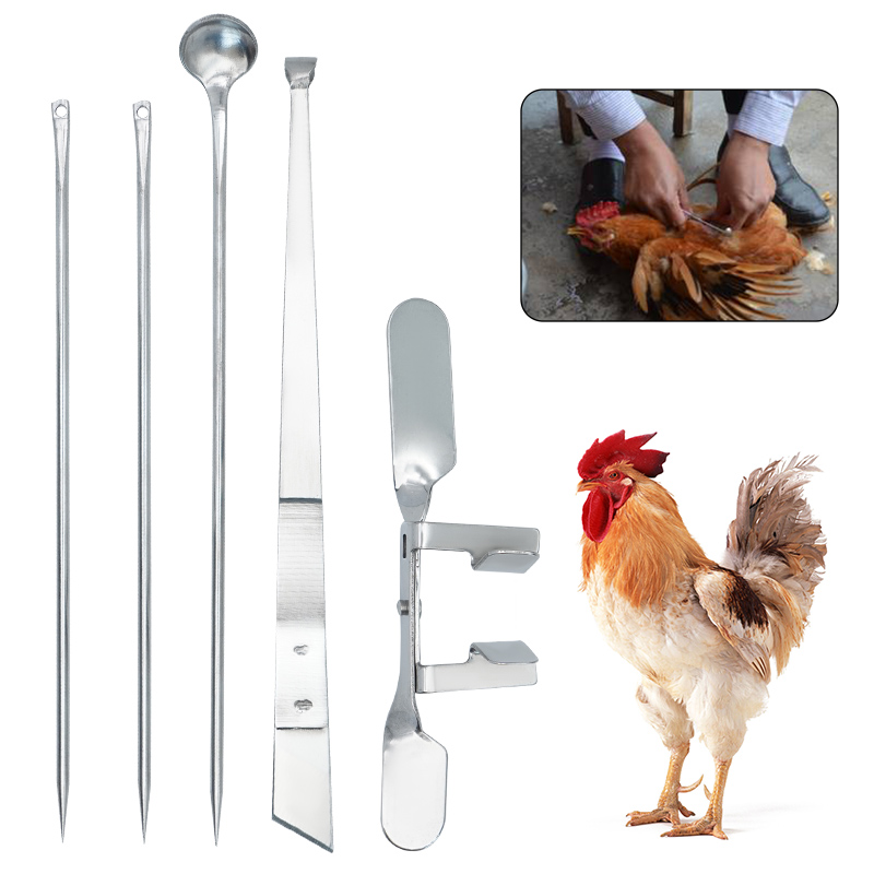 1 ensemble d'outils de casttration en acier inoxydable, grand poulet bébé poussin rapide, nouvel outil de casttration, couteau, outils de ferme de volaille