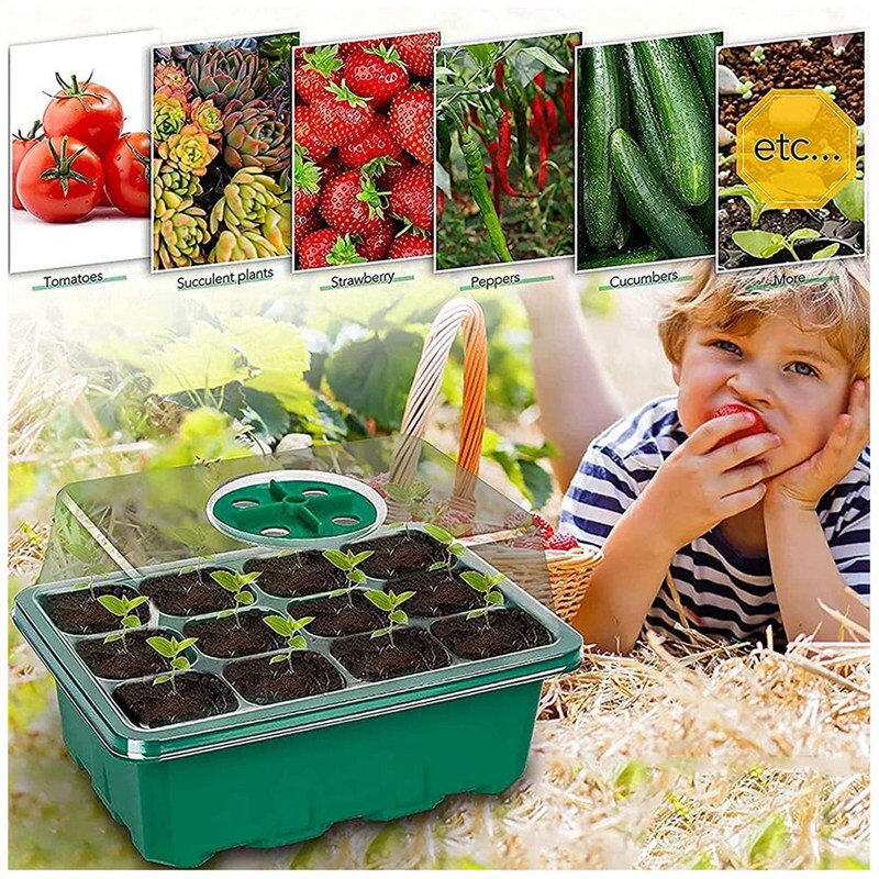 Conjunto de Mini invernadero para germinación de plantas de semillero, Mini invernadero, propagador para invernadero de interior, 12 piezas