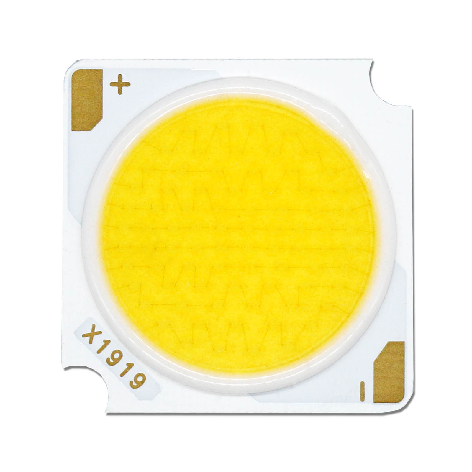 12W 18W 24W 30W 36W 42W DC36-39V Chip Bridgelux LED COB diodo emisor de luz 19*19mm LED DIY accesorios de fuente de luz de pista LED