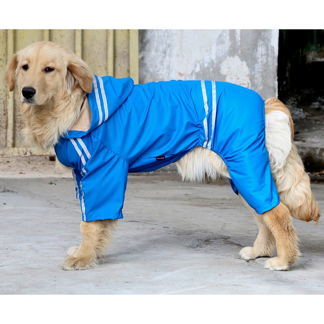 Regenjas Voor Honden Waterdichte Hond Jas Reflecterende Hond Regenjas Kleding Voor Grote Honden Labrador 5 Maten