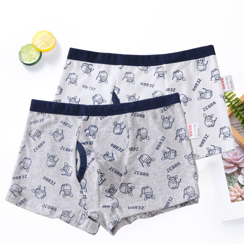 Boxer en coton pour garçons, 2 pièces/lot, , caleçons dessin animé, sous-vêtements pour enfants