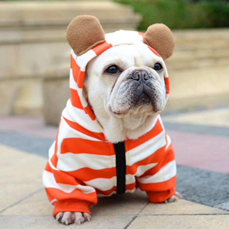 [& mpk butik] kæledyr hund fransk bulldog tøj orange stribe med lynlås, hundetøj, kæledyrsdragt