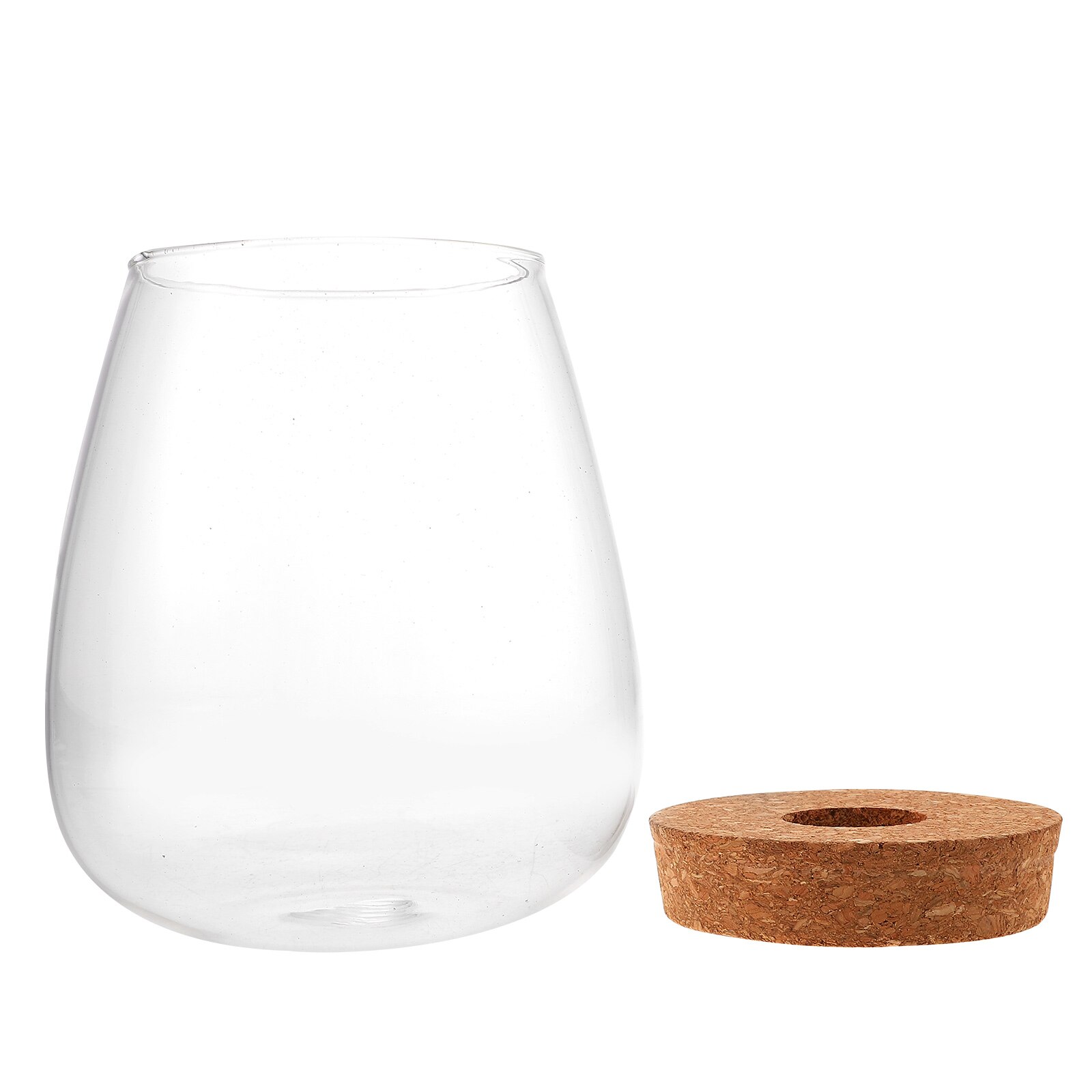 Glass Plant Terrarium Micro Landscape Bottle Desktop Hydroponic Planter for Home