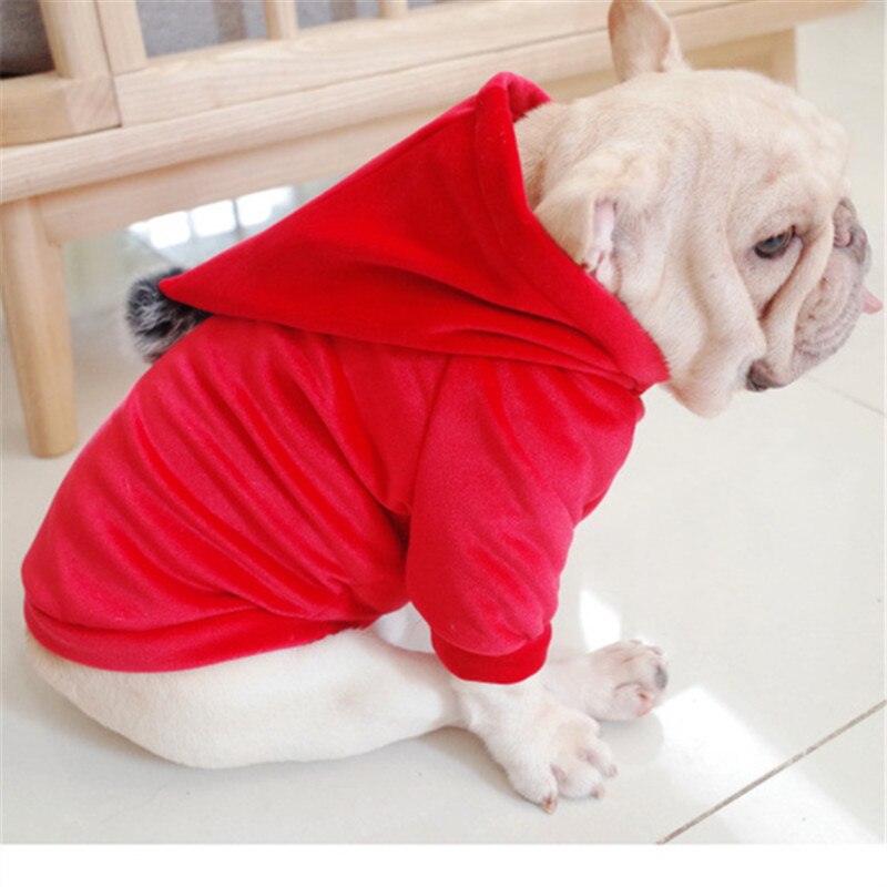 Vêtements d'hiver pour chiens carlin | Vêtements d'hiver français, vêtements à capuche, vêtement pour animaux de compagnie, vêtement pomerien, Schnauzer, Corgi manteau pour chiens