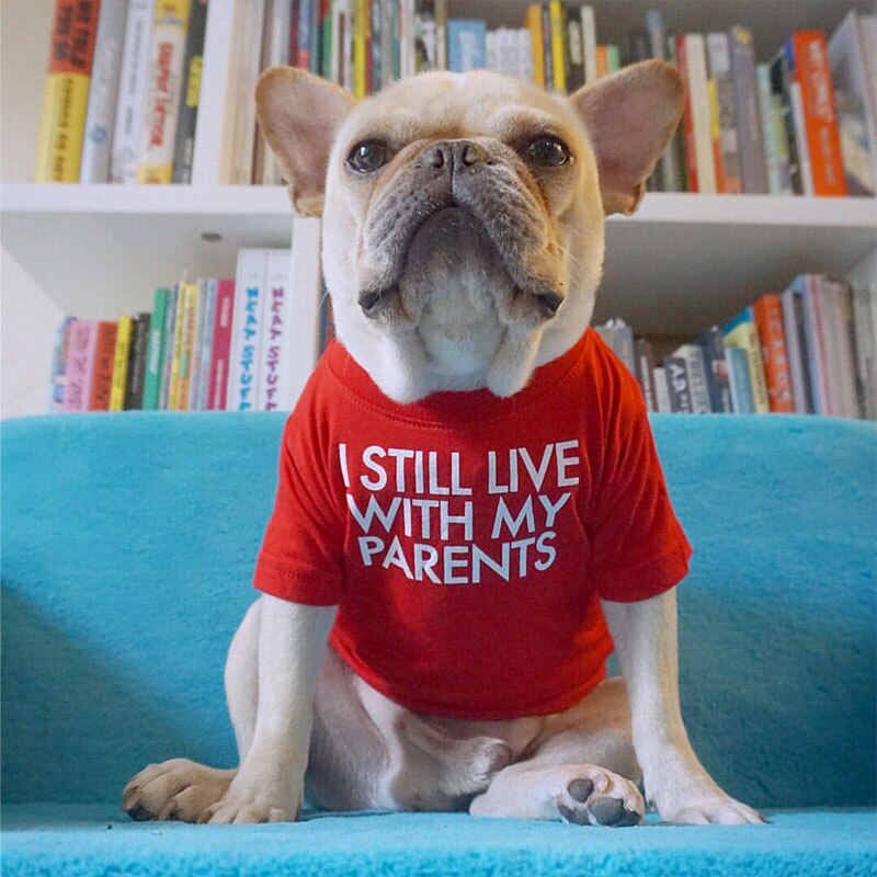 Letters Gedrukt Franse Bulldog T-shirt Katoen Hond Shirt Ademend Pet Apparel Puppy Sweatshirt Pibull Kleding Voor Kleine Honden