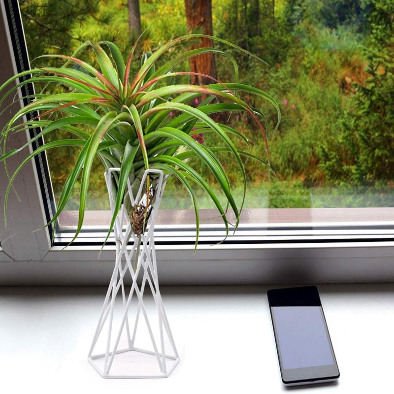 Soporte de soporte de planta de aire Tillandsia, bastidores de exhibición de plantas de aire de Metal de sobremesa contenedores para colgar plantas de Casa Tillandsia