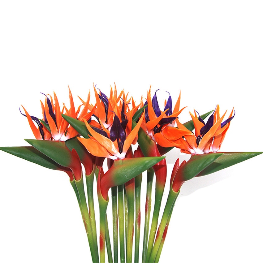 Liten hög simulering plastkänsla paradisfågel placerad process konstgjord strelitzia reginae: Röd