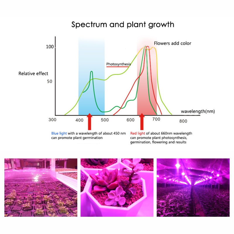 Led grandir ampoule E27 E14 GU10 MR16 B22 220V lampe de croissance 3w 4w 5w spectre complet pour plante de fleurs hydroponique système Aquarium